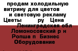 продам холодильную витрину для цветов -25000 и световую рекламу  Цветы -10000 ру › Цена ­ 25 000 - Ленинградская обл., Ломоносовский р-н, Ропша п. Бизнес » Оборудование   